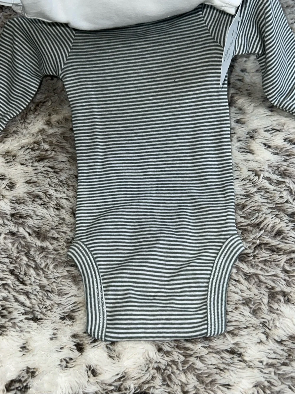 Carters details brand